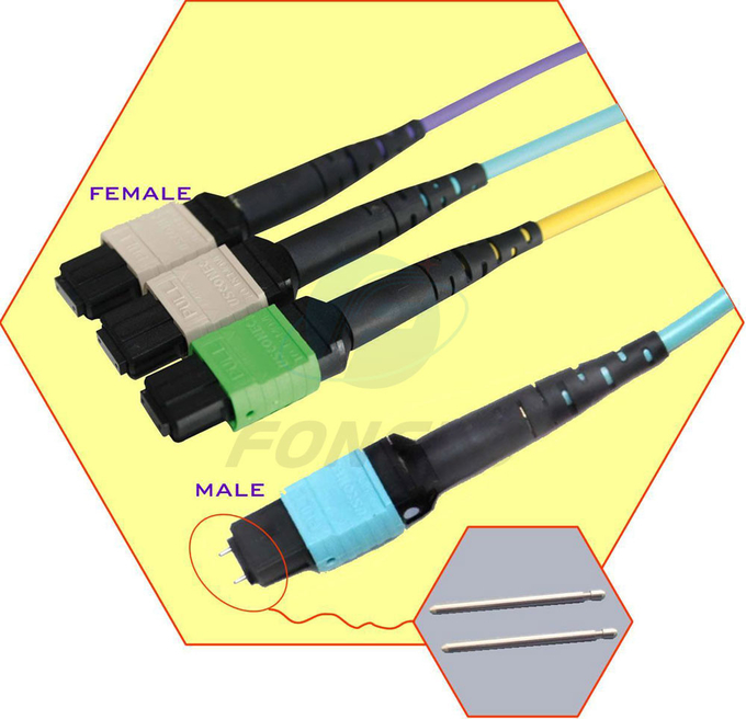 12 Fiber MPO LC Fanout Cable OM3 To 0.9mm MM Fiber Optic Patch Cord 4