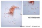 Stripped Goose Flower Feather Headband , Year Occasion Feather Flower Crown