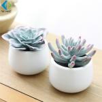 Bookcase Decoration Artificial Green Plants , Home Use Faux Succulent Plants