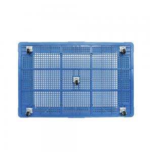China Foldable Chicken Egg Tray 60 Eggs Plastic Chicken Transport Crate Free Samples Durable wholesale