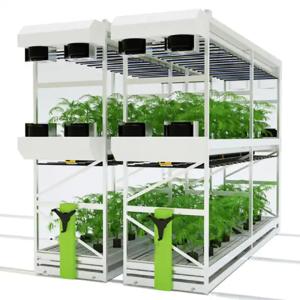 China Construction Irrigation Holding Stands Intelligent Home Hydroponic Lettuce Aquaphonics Growing System wholesale
