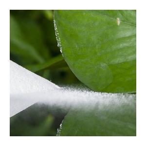 China High Stability PVC Copolymer Resin 1-2 Um Diameter For PVC Coated Products wholesale