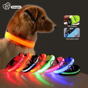 China Hundehalsband Lighted Dog Collars Rechargeable Nylon XS XL LED Pet Collar wholesale
