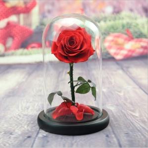 China beauty and the beast roses preserved roses in glass dome rose for lover