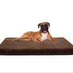 8in Silentnight Orthopedic Dog Bed