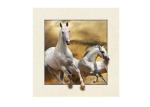 Stock Horse Image 5D Pictures Lenticular Photo Printing PET/PP Lenticular