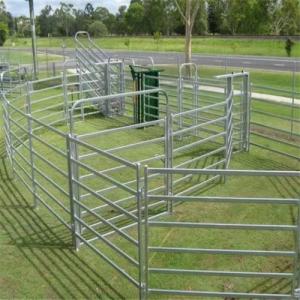 China Galvanized Welded Pipe Cattle Fence Panel 8FT Horse Farm Fencing Panels wholesale