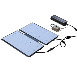 China Warm White 200W LED Grow Light Quantum Board LM301B IP65 For Indoor Plant wholesale