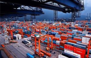 China China To America FCL Container Shipping DDU DDP Terms Fast Freight Forward wholesale