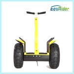 Electric Two Wheel Smart Balance Scooters Off Roading Segway Waterproof