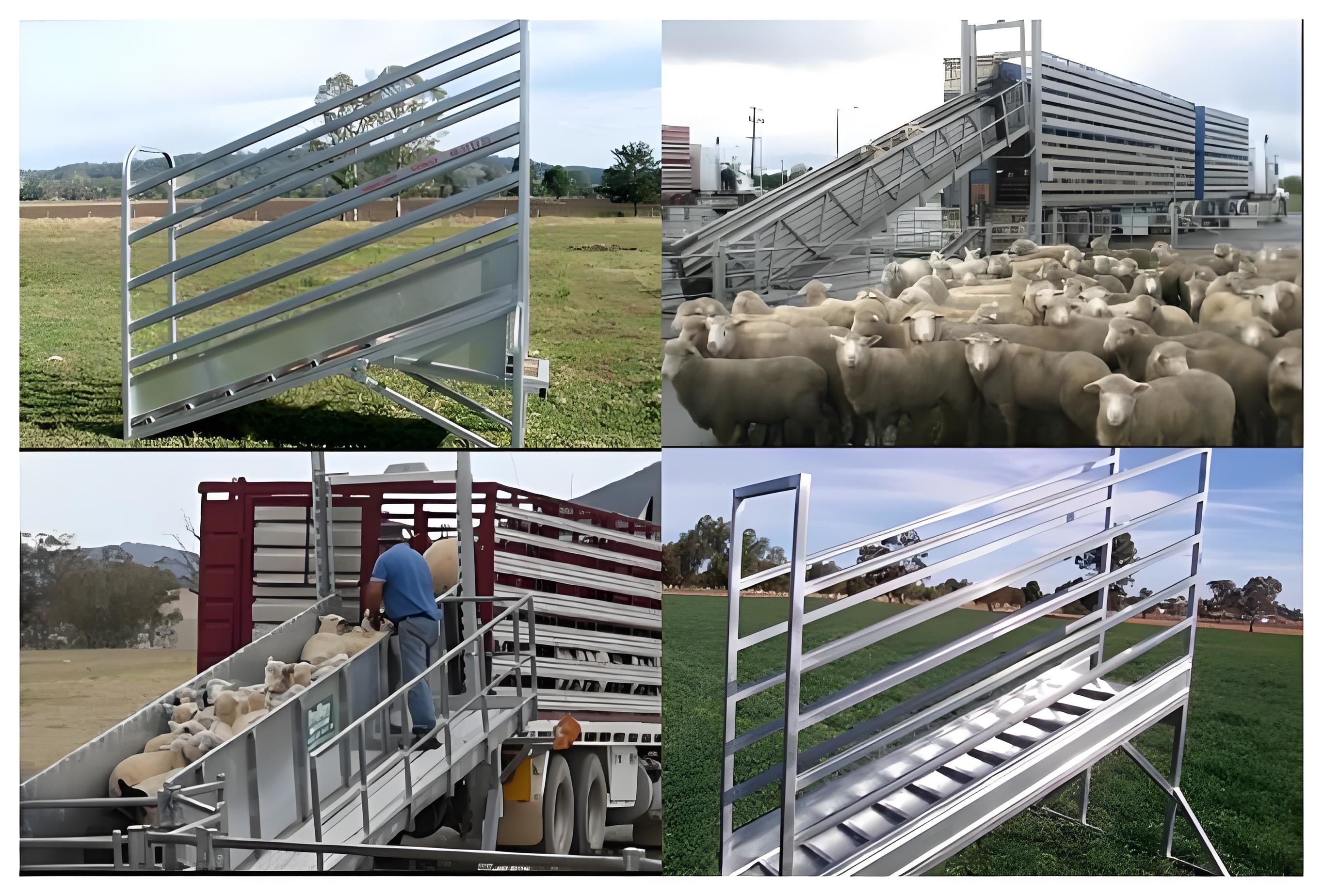 10' Height Adjustable Cattle Fence Panel Galvanized Cattle Loading Ramp With Sliding Gates