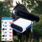 Race Horses Relax Equine Shockwave Machine For Soft Tissue Injuries