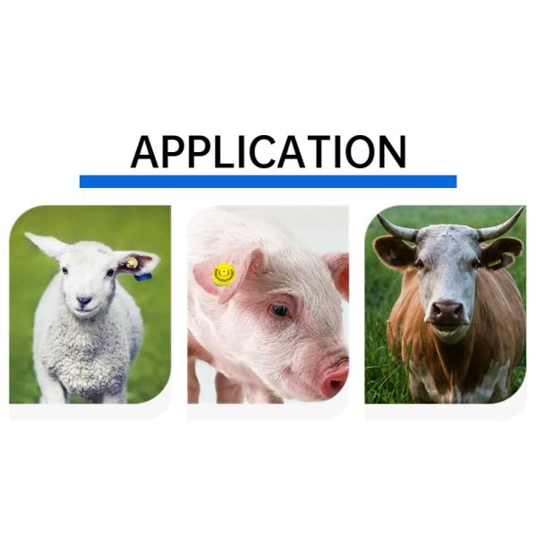 Full ICAR ET908 Animal Ear Tag BLE Reader Waterproof Unshared ICAR Code