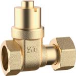 3102 Female x Flex. Female Water Meter Brass Gate Valve Magnetic Lockable by