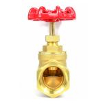 1/2 - 4" High Pressure Stop Valve Globe Stop Valve Free Samples OEM