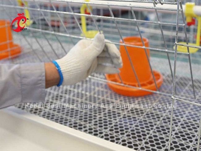 A Or H Type Broiler Chicken Cage 96 Matured Broilers Capacity Emily