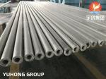Stainless Steel Boiler Tube,ASME SA213 TP347H, Power Plant Boiler Application