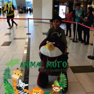 China Hansel electronic games adult ride on animals stuffed toy rides for sale wholesale