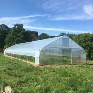 China Tunnel Greenhouse Galvanized Steel Frame Structure Pipe Pe UV Plastic Film Vergetables Single-span Greenhouse wholesale
