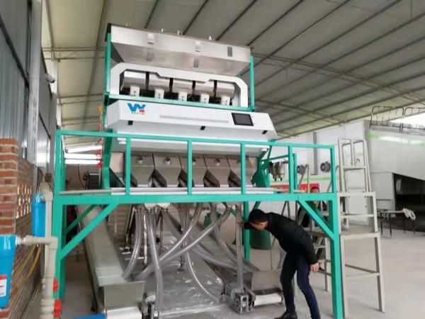 Cheapest Factory Price Black Plastic Color Sorting Machine For Black Plastic