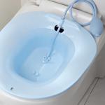 Female Wellness Yoni Health Bath Seat Vaginal Steam Tool With Flusher For