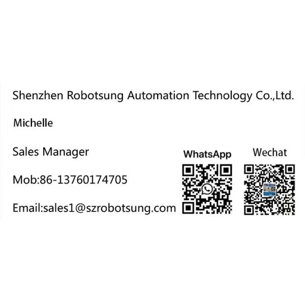 YS-L542 High Accuracy Machine with Working Automatic Screw Machine