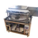 Electric cherry pitting machine pitter cherry pit remove machine