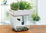 Transparent Fish Tank Tempered Safety Glass High Borosilicate Glass