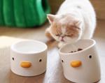 Cat Ears 20 Degree Elevated Tilted Cat Bowls Raised Macaron Color Ceramic Dog
