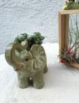 Succulent Creative Elephant Animals Plant Flowerpots