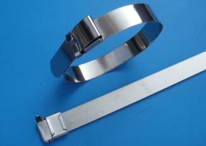 China SS201 / 304 / 316 Stainless Steel Wire Ties With Wing Seals Locking Eco Friendly wholesale