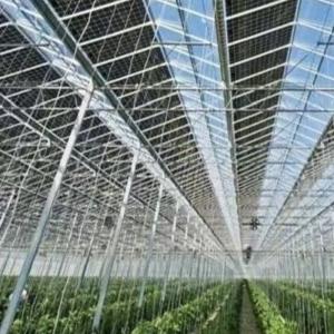 China US Hot DIP Galvanized Steel Multi Span Glass Greenhouse 50.00cm * 60.00cm * 80.00cm wholesale