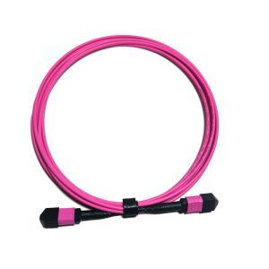 China MPO/PC 12 Core OM4 Fiber Patch Cord MPO Fiber Optic Trunk Cable wholesale
