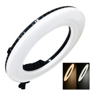 China Pink Warm Selfie Ring Light Bluetooth 4800lux Blogger Ring Light wholesale