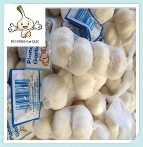 China 2016 Fresh and Dry Garlic - Chinese Garlic Exporters chinese normal white garlic wholesale