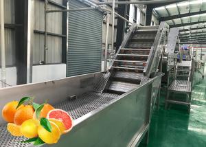 China Professional Tangerine Citrus Processing Equipment 5T/H ISO Certificate wholesale