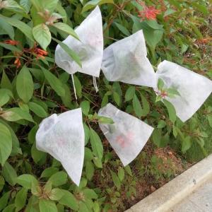 China Nonwoven 1.6m 250GSM Netting Bags For Fruit Trees wholesale