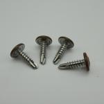 Carbon Steel Martial 4.2x16 Phillips Washer Truss Painted Head Self Screw RoHs