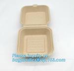 Compartment hinged container sugarcane bassage pulp food serving box 750ml