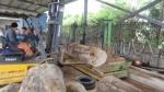 Wood Log Splitter/dia.1200mm used Vertical Band Saw Machine with sports car