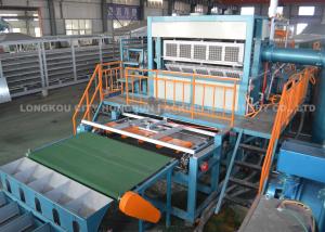 China Large Egg Tray Production Line Capacity 50000pcs Per Working Day wholesale