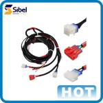 Hot Sale Suppliers Stereo Auto Electrical Cable Assembly Wire Harness Kit For