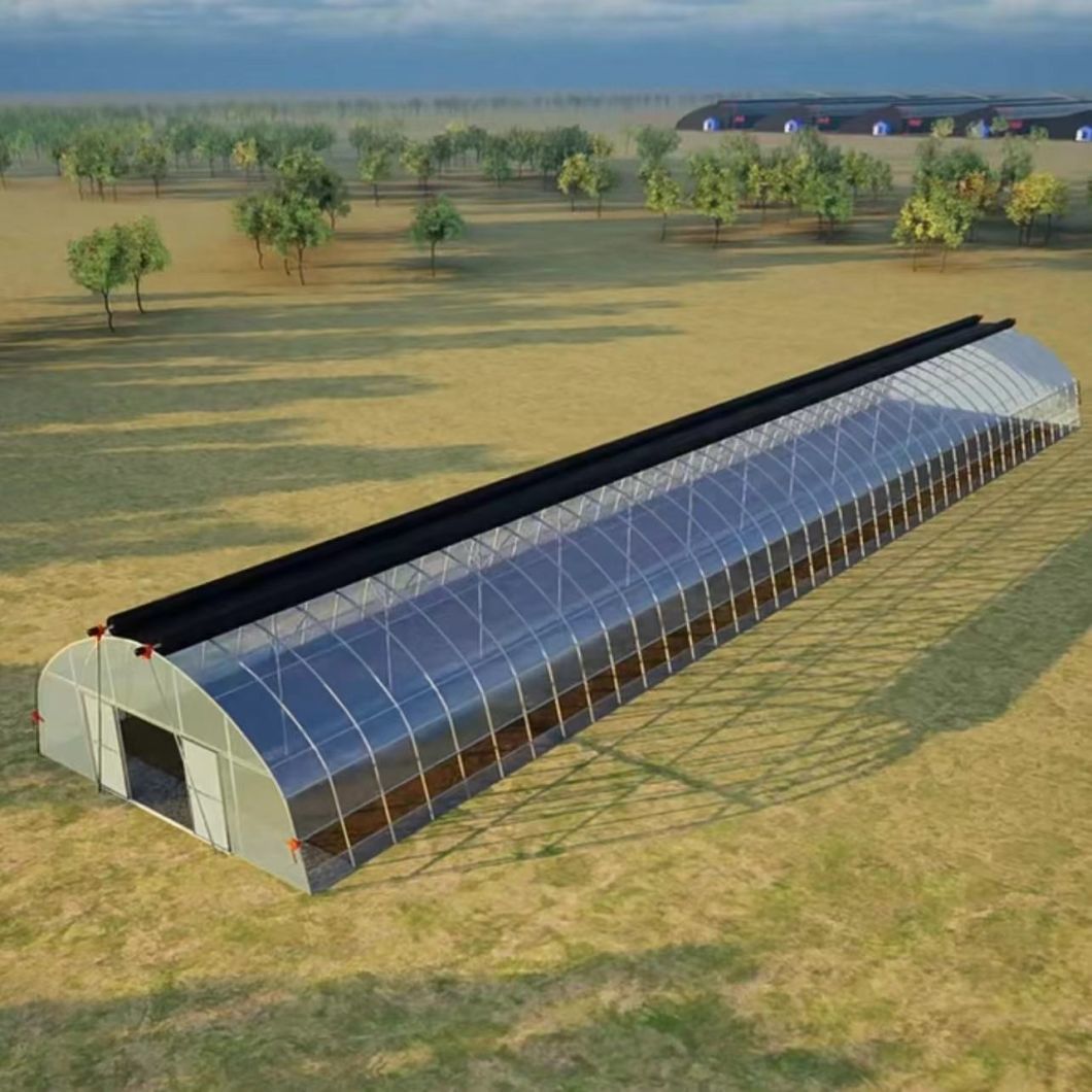 Cocopeat Growing System Tunnel Greenhouse