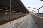 Hot / Cold Rolled Galvanized Clearspan Steel Framing Systems With H Shapes