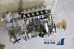 4110000565197 Mechanical Fuel Injection Pump CP61Z-P61Z612+A