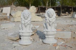 China Odm Life Size Outdoor Decoration Marble Lion Statue on sale