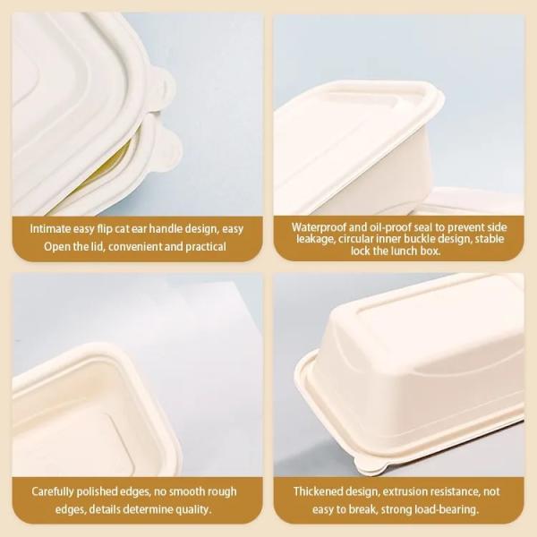 2 boxes with cover cornstarch lunch box disposable fast food packaging box wholesale