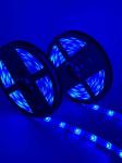 IP20 DC12V 10M Bluetooth LED Strip Light