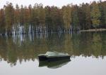RC fishing bait boat DEVC-308 , camouflage carp fishing bait boat CE Certificati