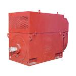 Electric Wound Rotor Induction Motor 3 Phase 3.3kv 6.6kv 1000kw